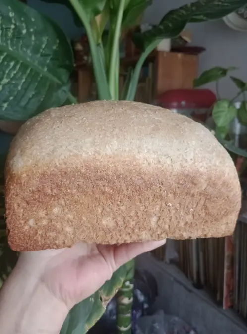 Pan de barra semi integral